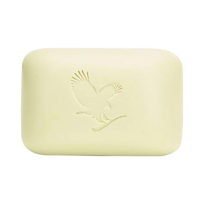 Aloe Avocado Face & Body Soap